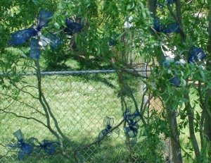 Blue Ribbon Tree at the Our Lady of Peace Cathedral